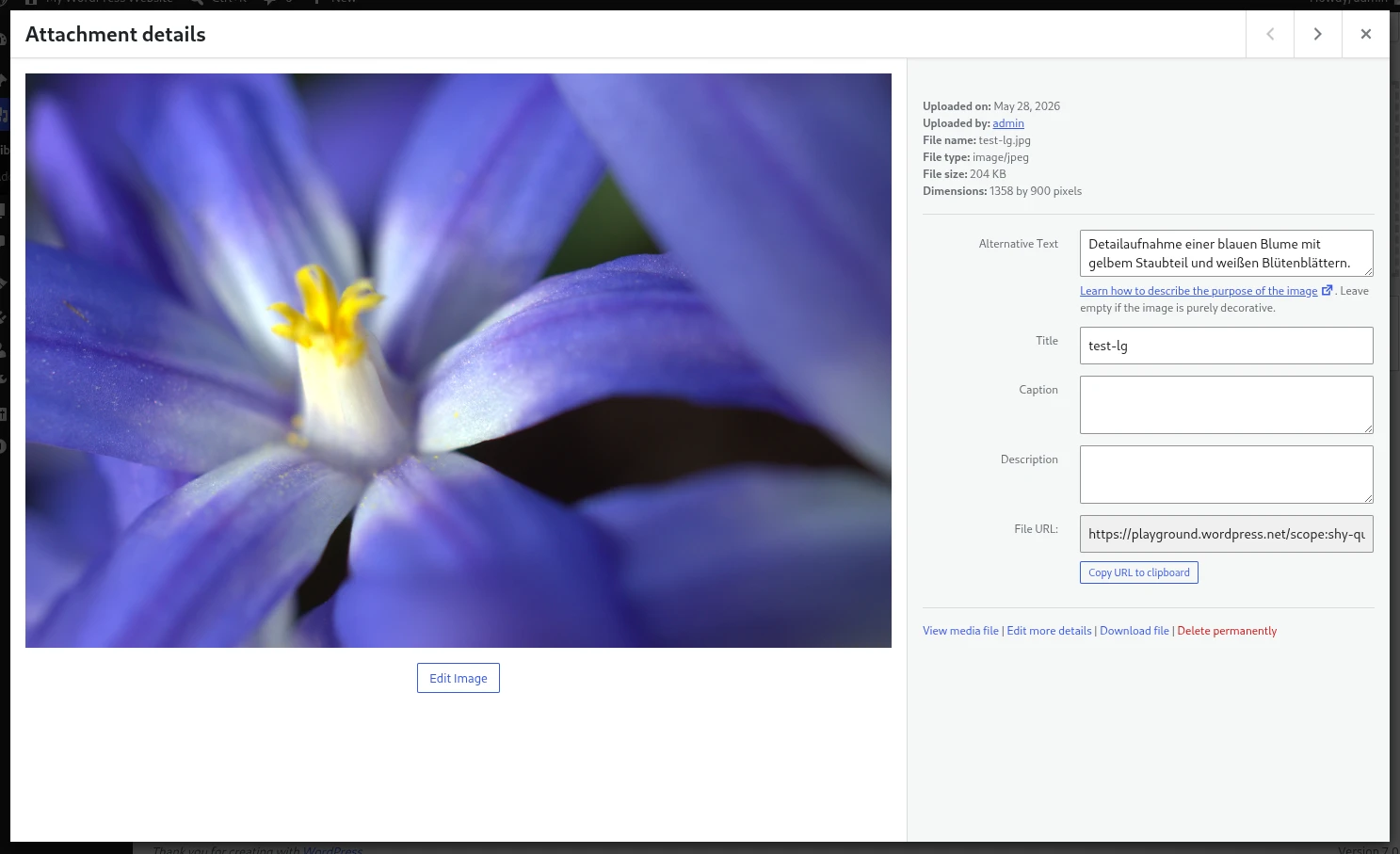 Wordpress Oberfläche eines hochgeladenen Bildes